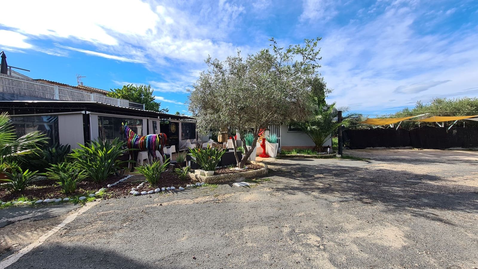 12 camera da letto Commerciale in vendita in Oliva Nova con piscina garage - 3.000.000 € (Rif: 9330082)