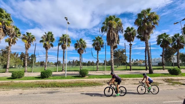 12 chambre Local Commercial à vendre à Oliva Nova, Oliva avec piscine garage - 3 000 000 € (Ref: 9330082)