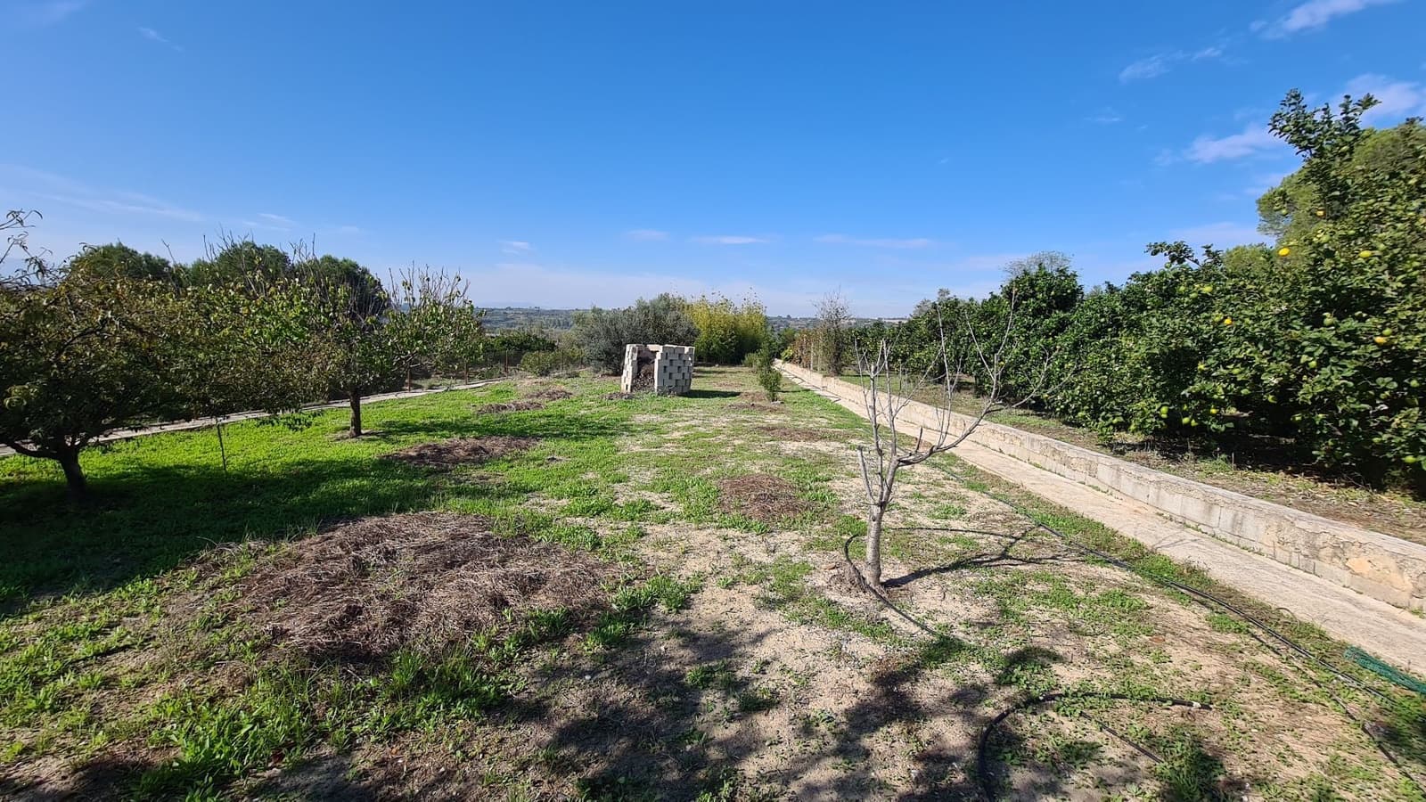 5 soveværelse Villa til salg i Benicolet med swimmingpool garage - € 225.000 (Ref: 9356642)