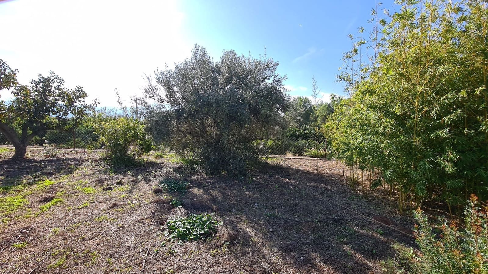 5 soveværelse Villa til salg i Benicolet med swimmingpool garage - € 225.000 (Ref: 9356642)