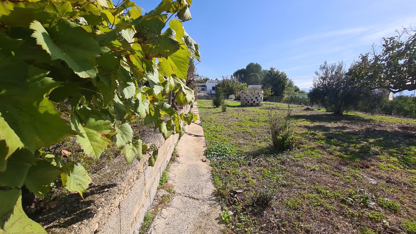 5 soveværelse Villa til salg i Benicolet med swimmingpool garage - € 225.000 (Ref: 9356642)