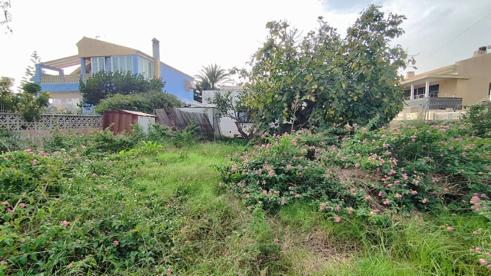 Bouwgrond te koop in Oliva - € 229.000 (Ref: 9407904)