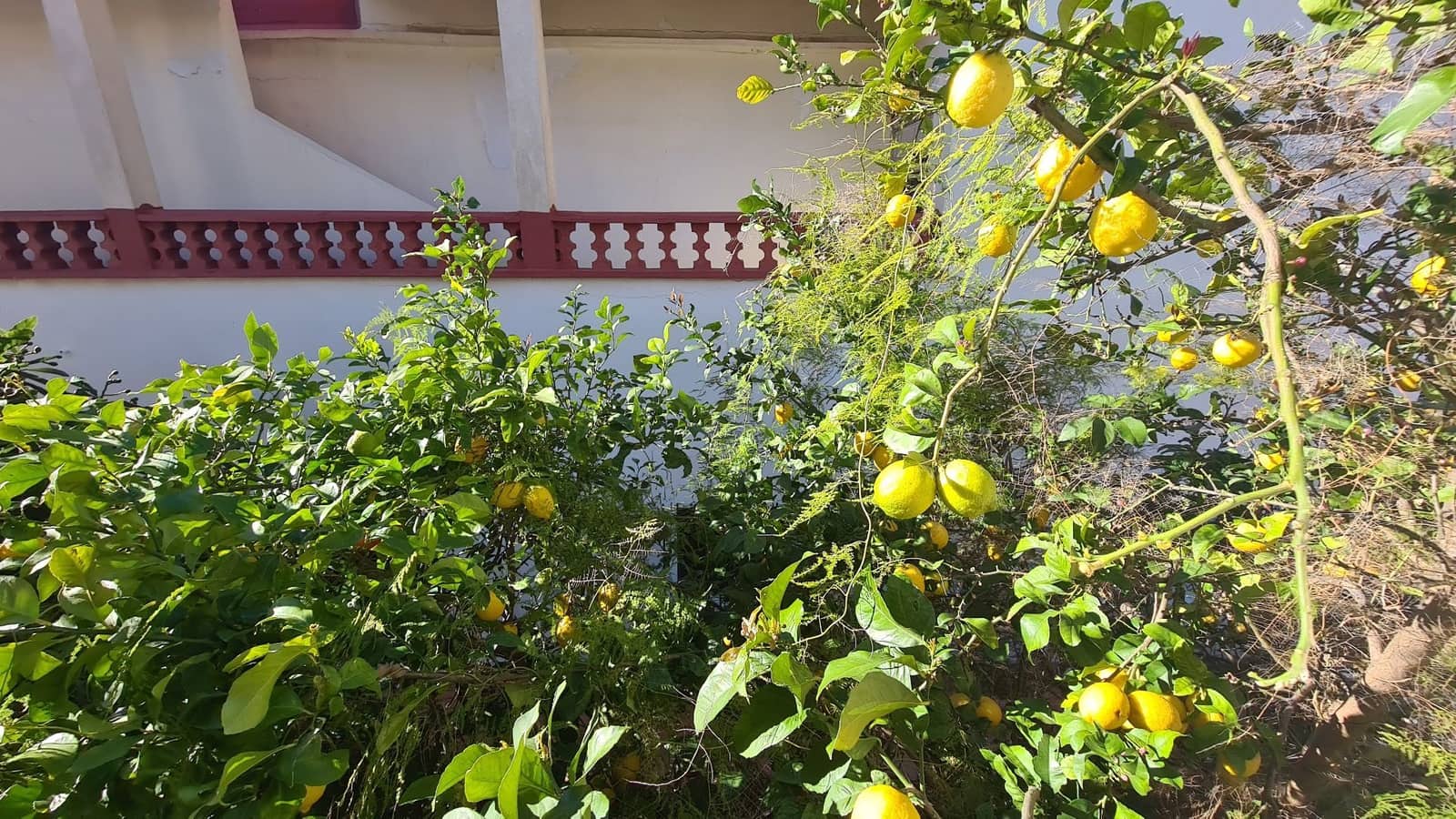 4 sovrum Villa att hyra i Oliva - 1 200 € (Ref: 9614666)