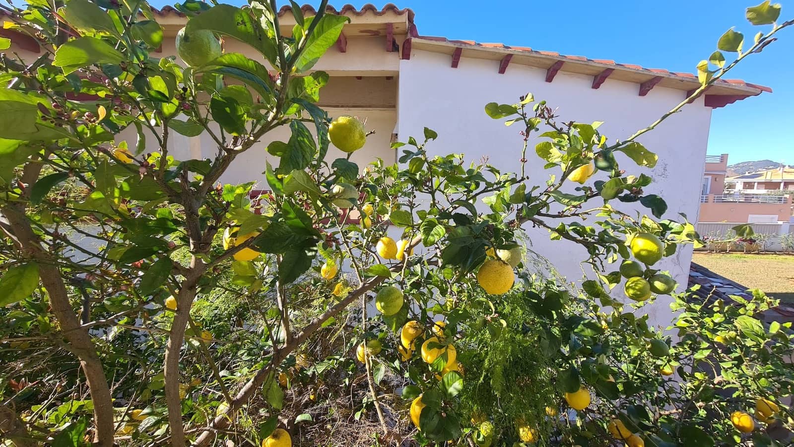 4 sovrum Villa att hyra i Oliva - 1 200 € (Ref: 9614666)