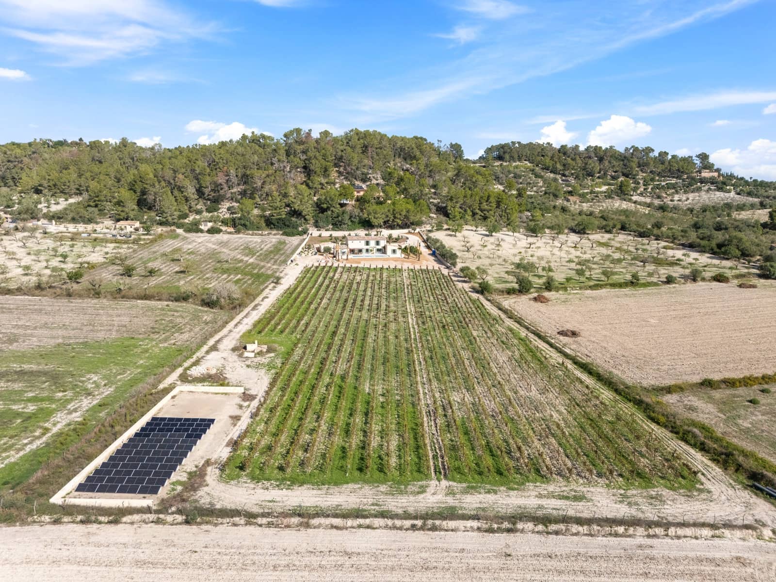 5 soveværelse Villa til salg i Montuiri med swimmingpool garage - € 5.900.000 (Ref: 9061842)