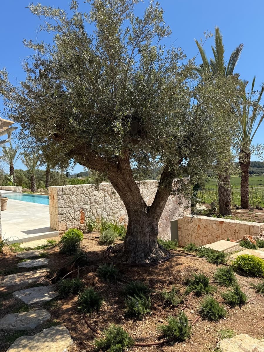 5 camera da letto Villa in vendita in Montuiri con piscina garage - 5.900.000 € (Rif: 9061842)