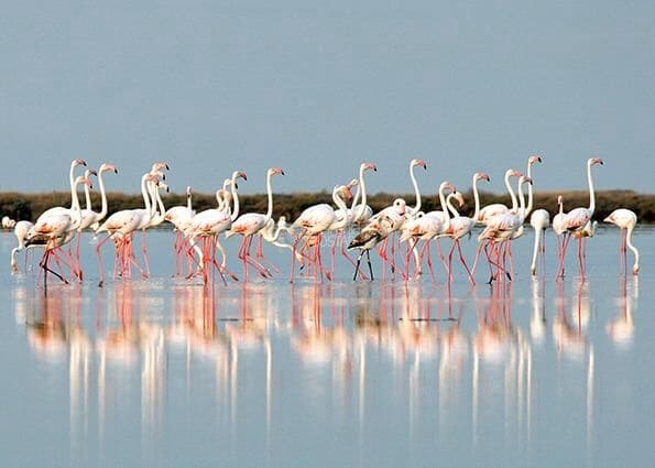 2 bedroom Apartment for sale in Torrevieja with pool garage - € 266,000 (Ref: 9075294)