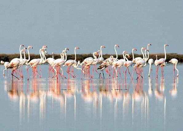 Ático de 3 habitaciones en Torrevieja en venta con piscina garaje - 460.000 € (Ref: 9076307)