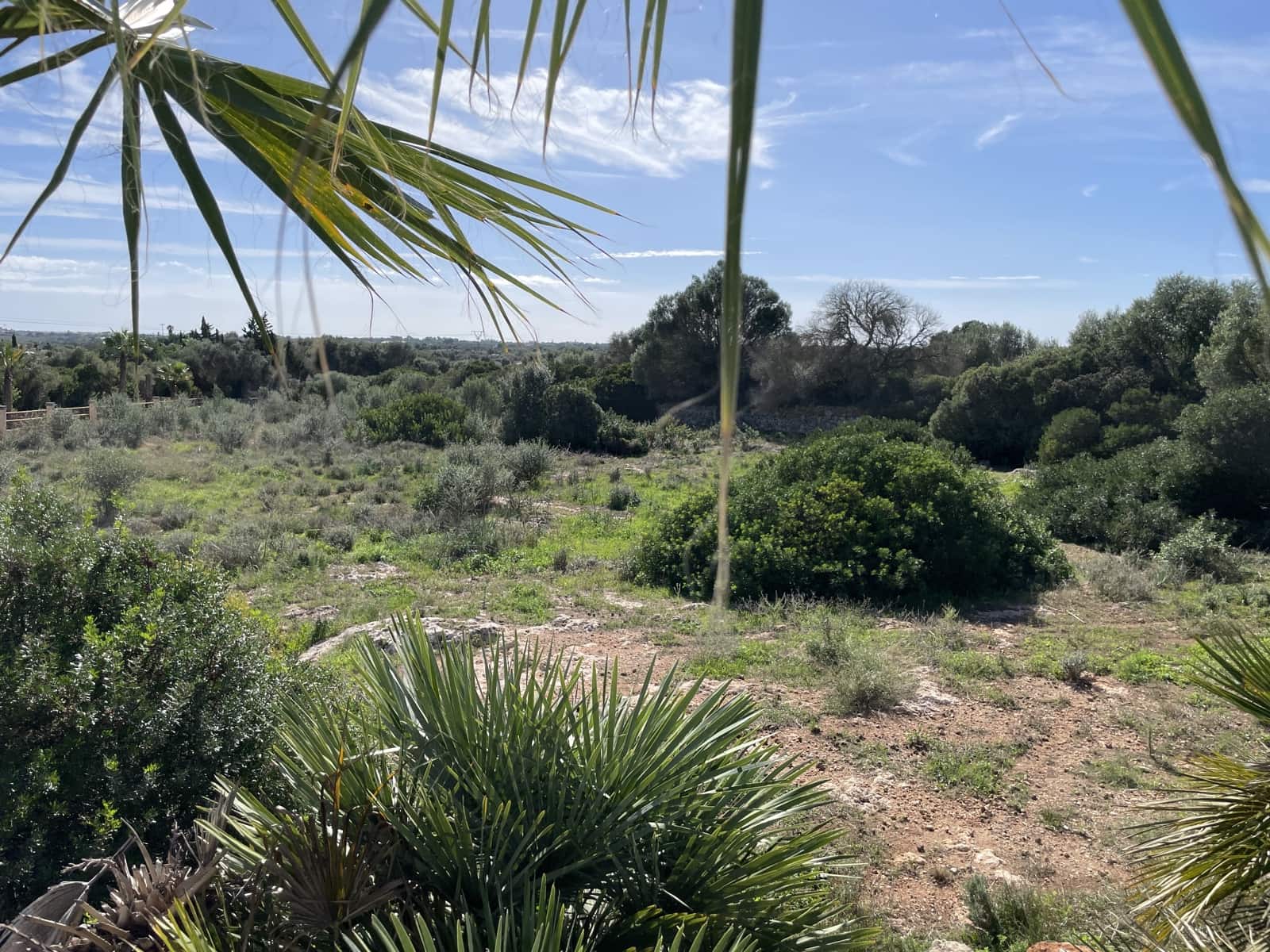 3 soveværelse Finca/Landehus til salg i Sa Coma med swimmingpool - € 1.333.000 (Ref: 9073798)