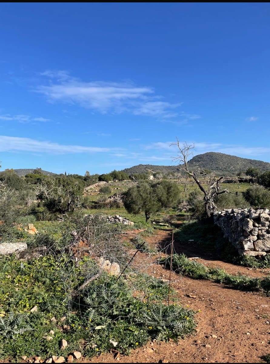 Grunde uden byggetilladelser til salg i Sant Llorenc des Cardassar - € 360.000 (Ref: 9082754)