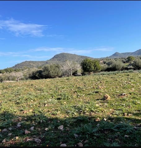 Teren niezagospodarowany na sprzedaż w Sant Llorenç des Cardassar - 360 000 € (Ref: 9082754)