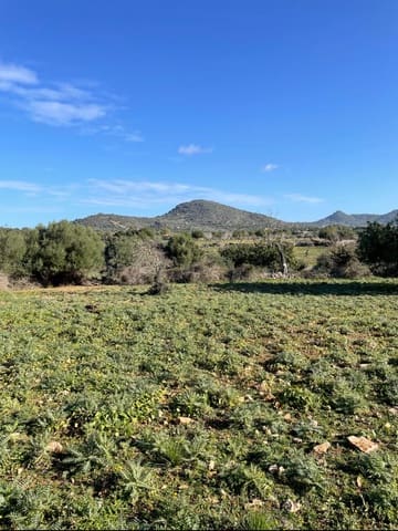 Grunde uden byggetilladelser til salg i Sant Llorenç des Cardassar - € 360.000 (Ref: 9082754)