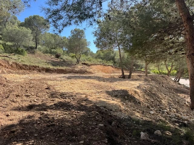 Bauplatz zu verkaufen in Llíria - 65.000 € (Ref: 10109770)