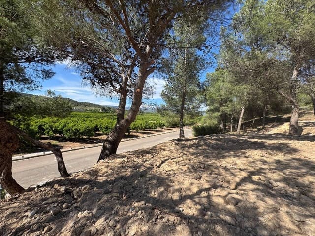 Bauplatz zu verkaufen in Llíria - 65.000 € (Ref: 10109770)
