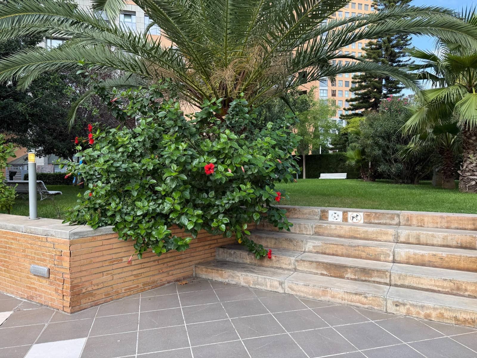 3 soveværelse Lejlighed til leje i Valencia by med swimmingpool garage - € 2.400 (Ref: 10162294)