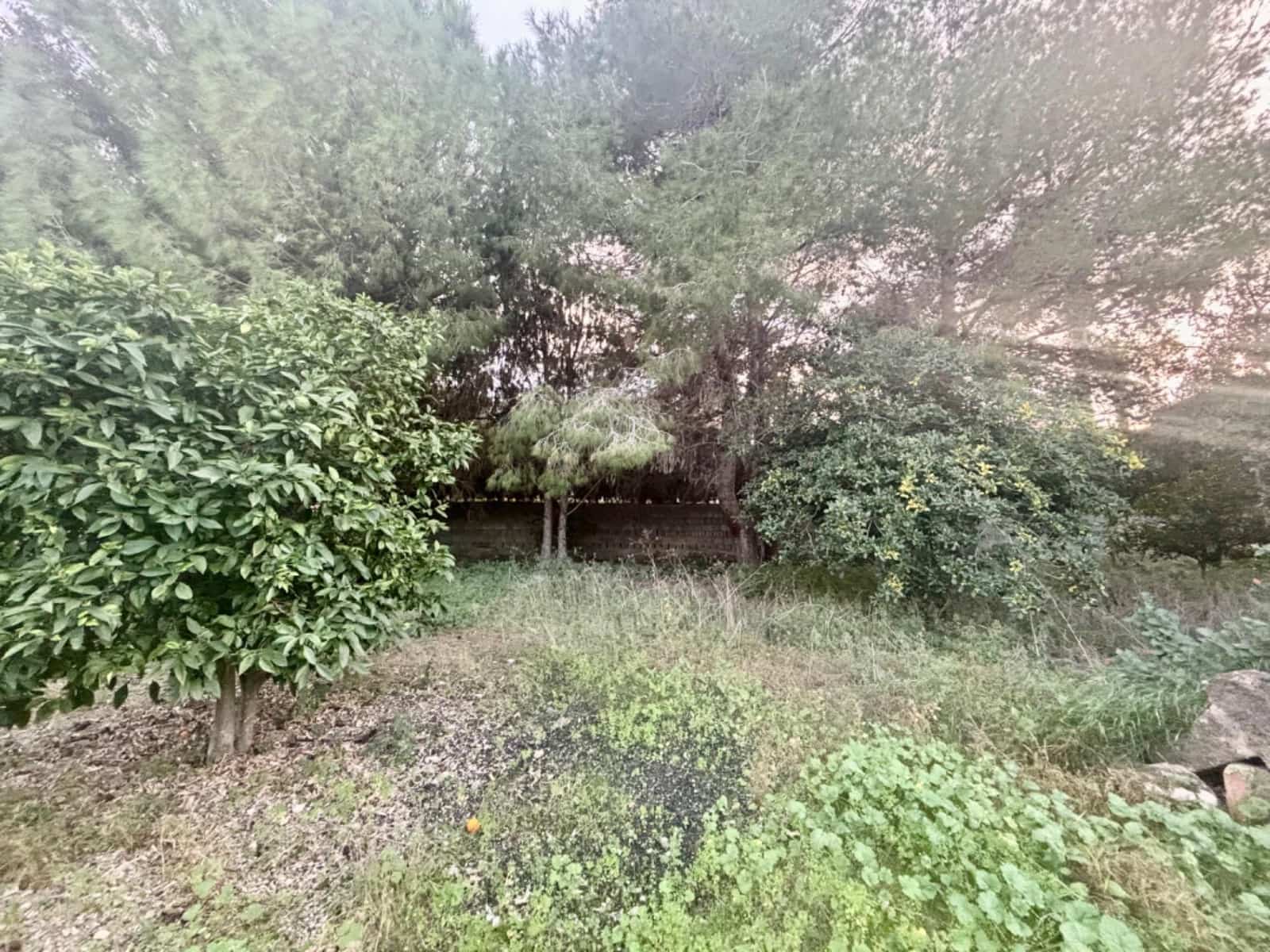 Tontti myytävänä paikassa Javea / Xabia - 170 000 € (Ref: 9401094)