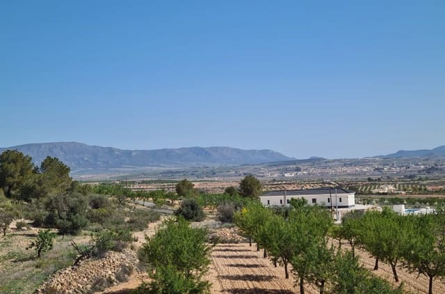 4 slaapkamer Villa te koop in Pinoso met zwembad garage - € 549.000 (Ref: 9099636)