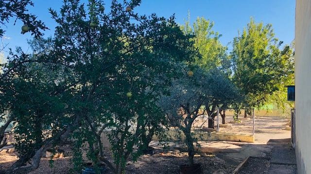 4 sovrum Finca/Hus på landet till salu i Yecla med garage - 151 000 € (Ref: 9101707)