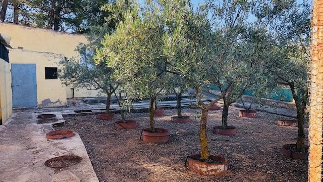 4 sovrum Finca/Hus på landet till salu i Yecla med garage - 151 000 € (Ref: 9101707)