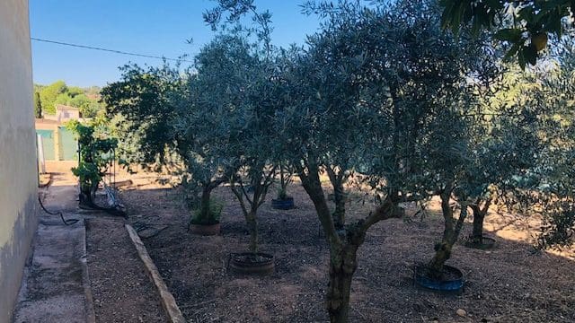 4 sovrum Finca/Hus på landet till salu i Yecla med garage - 151 000 € (Ref: 9101707)