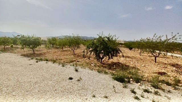 6 Zimmer Villa zu verkaufen in Pinoso mit Pool - 699.000 € (Ref: 9101807)