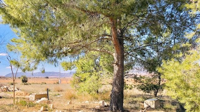 4 slaapkamer Finca/Landhuis te koop in Yecla met garage - € 62.000 (Ref: 9101860)