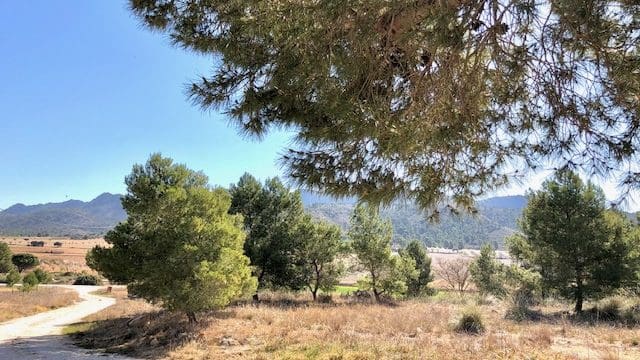 4 slaapkamer Finca/Landhuis te koop in Yecla met garage - € 62.000 (Ref: 9101860)