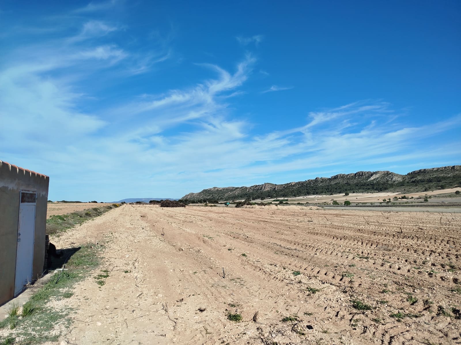 3 slaapkamer Finca/Landhuis te koop in Yecla met zwembad garage - € 185.000 (Ref: 9106238)