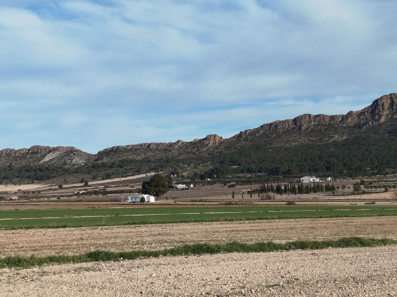 3 slaapkamer Finca/Landhuis te koop in Yecla met zwembad garage - € 185.000 (Ref: 9106238)