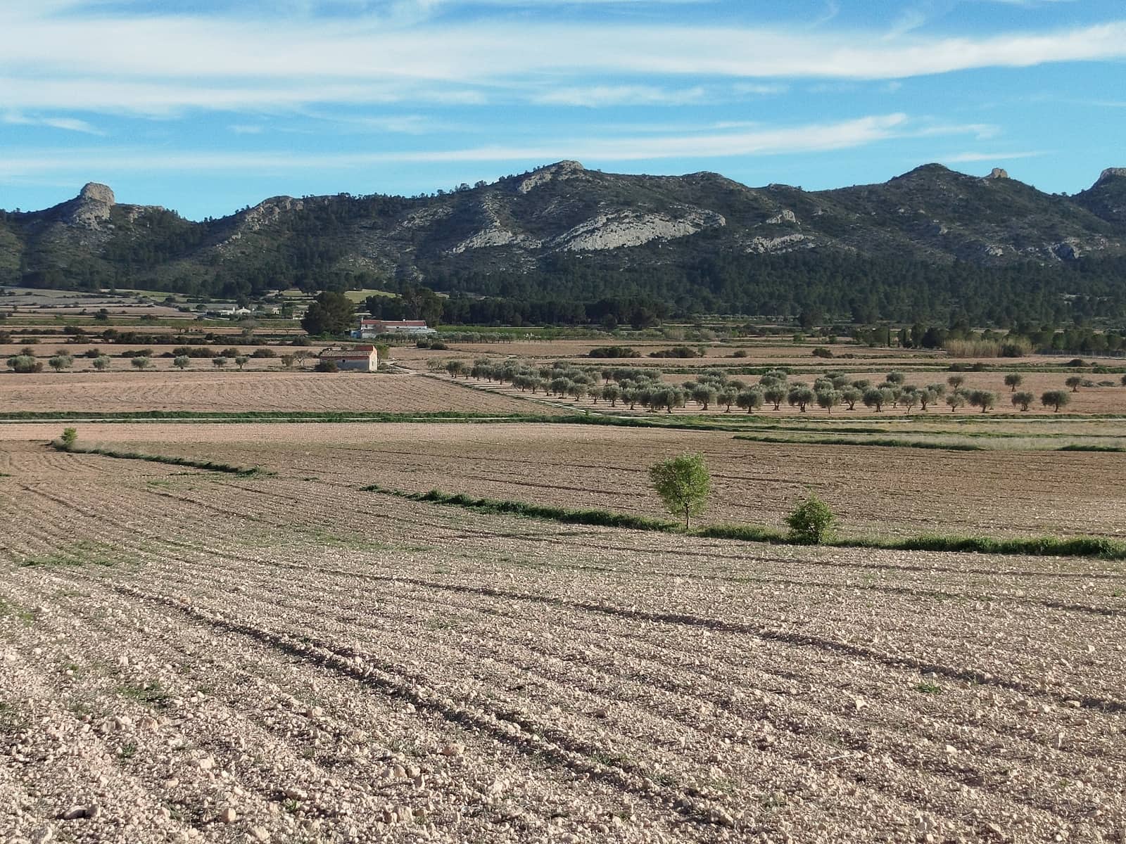 3 slaapkamer Finca/Landhuis te koop in Yecla met zwembad garage - € 185.000 (Ref: 9106238)