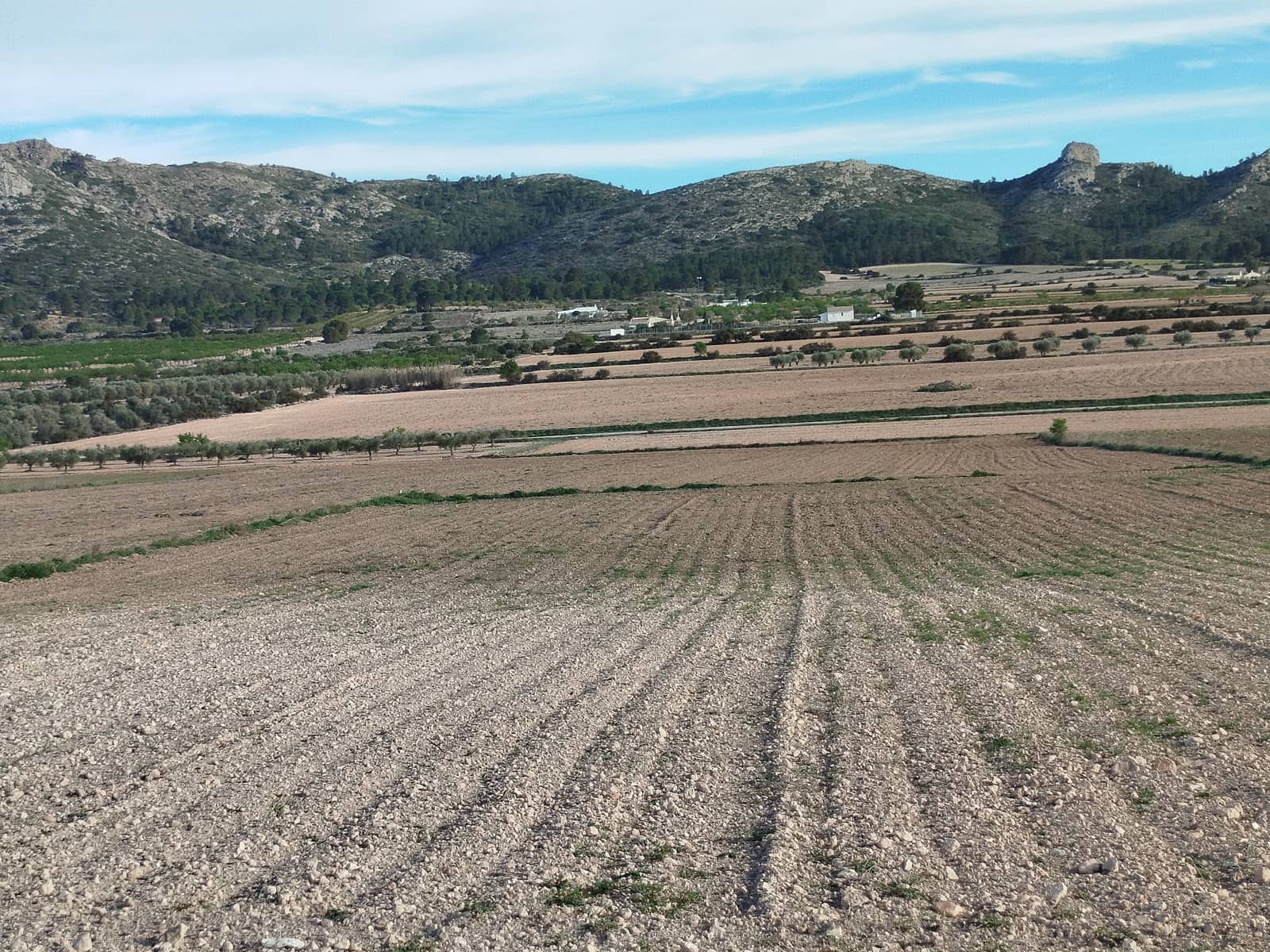 3 slaapkamer Finca/Landhuis te koop in Yecla met zwembad garage - € 185.000 (Ref: 9106238)