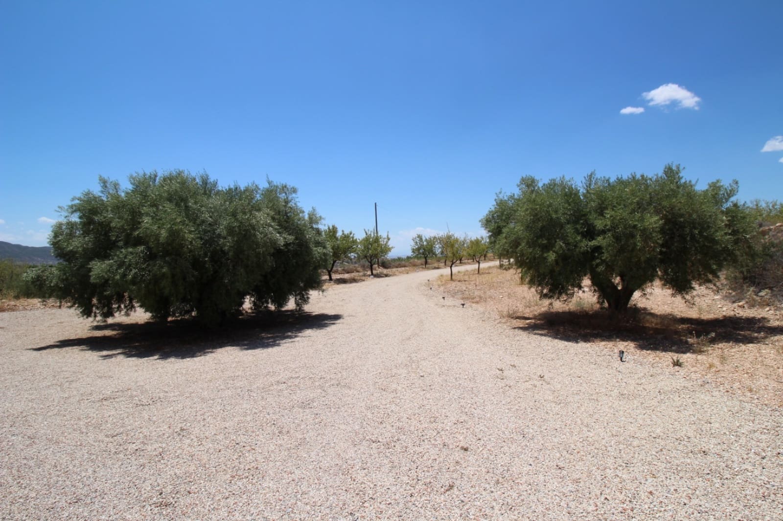 4 quarto Moradia para venda em Macisvenda com piscina garagem - 395 000 € (Ref: 9172570)