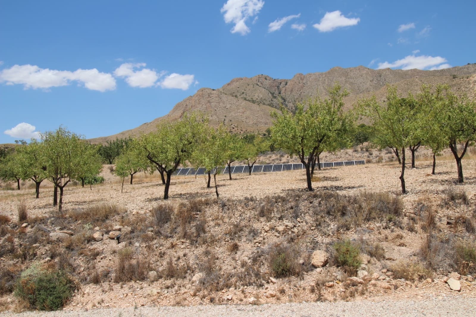 4 quarto Moradia para venda em Macisvenda com piscina garagem - 395 000 € (Ref: 9172570)