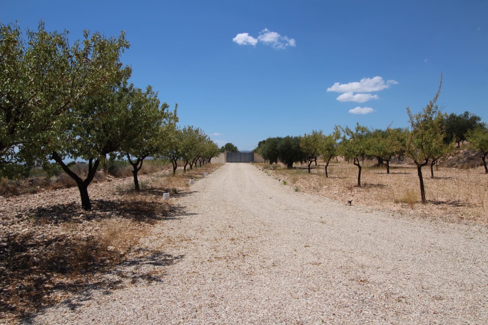 4 quarto Moradia para venda em Macisvenda com piscina garagem - 395 000 € (Ref: 9172570)