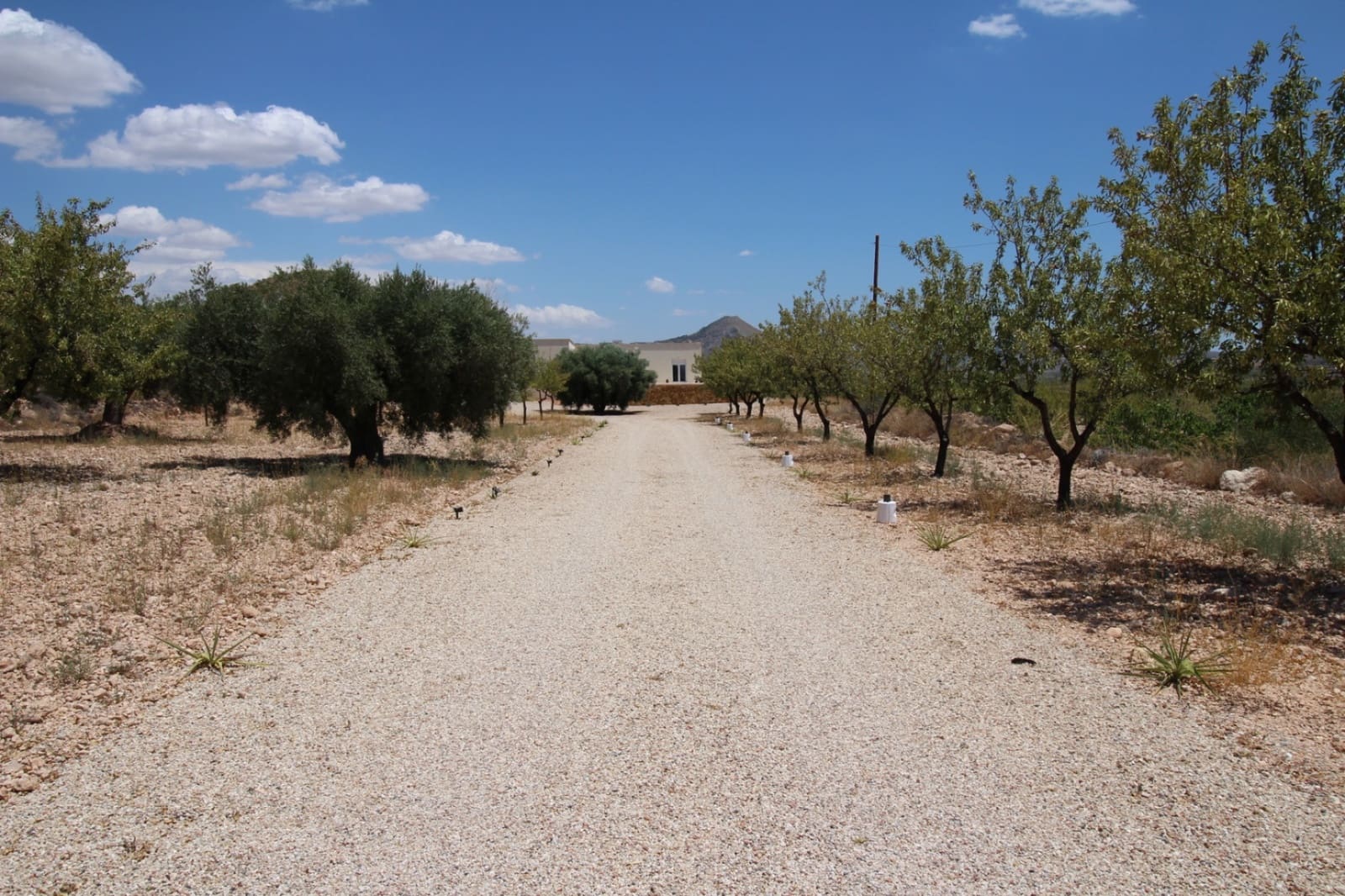 4 quarto Moradia para venda em Macisvenda com piscina garagem - 395 000 € (Ref: 9172570)