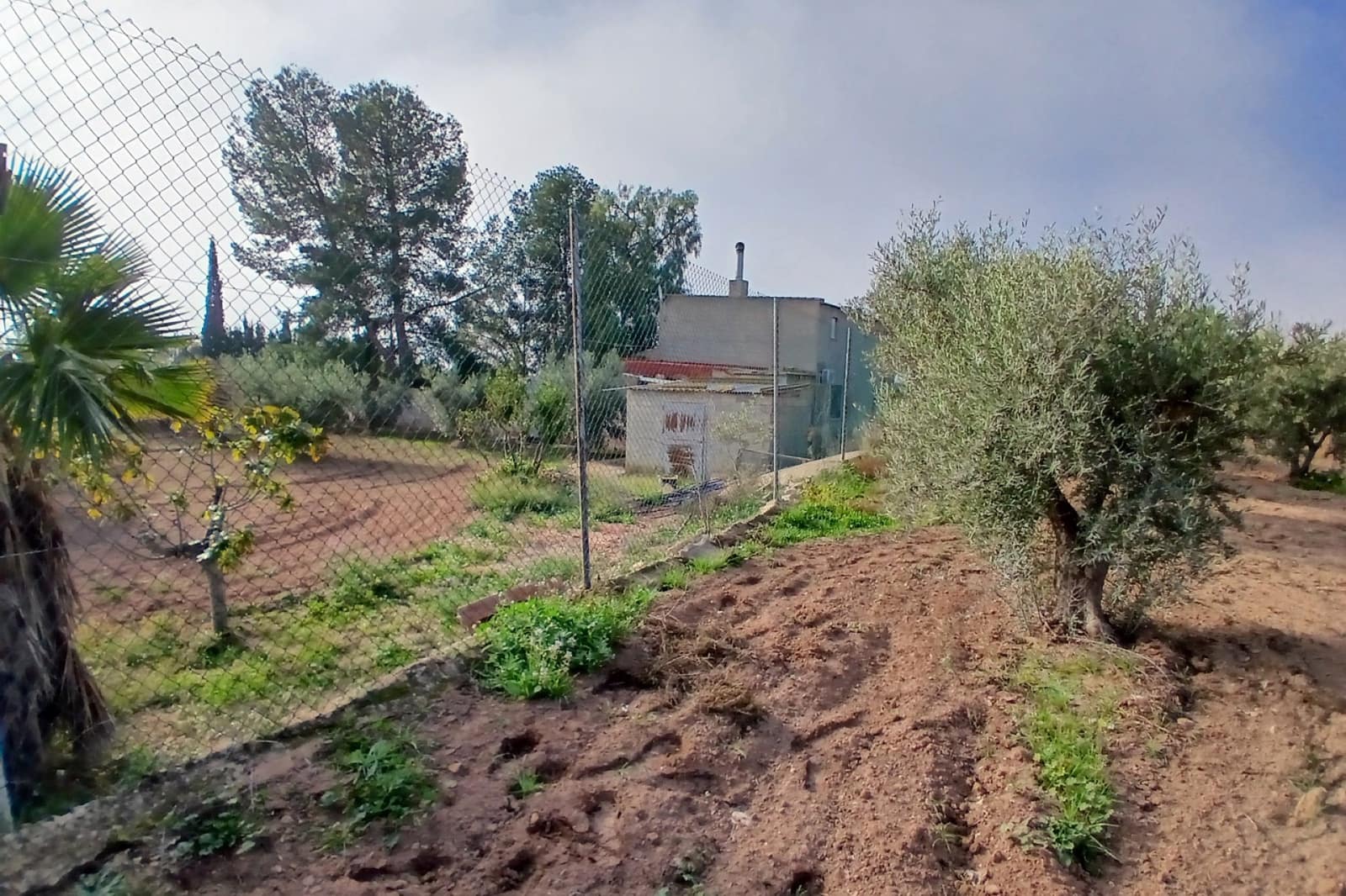 3 bedroom Finca/Country House for sale in Jumilla with garage - € 158,000 (Ref: 9172577)