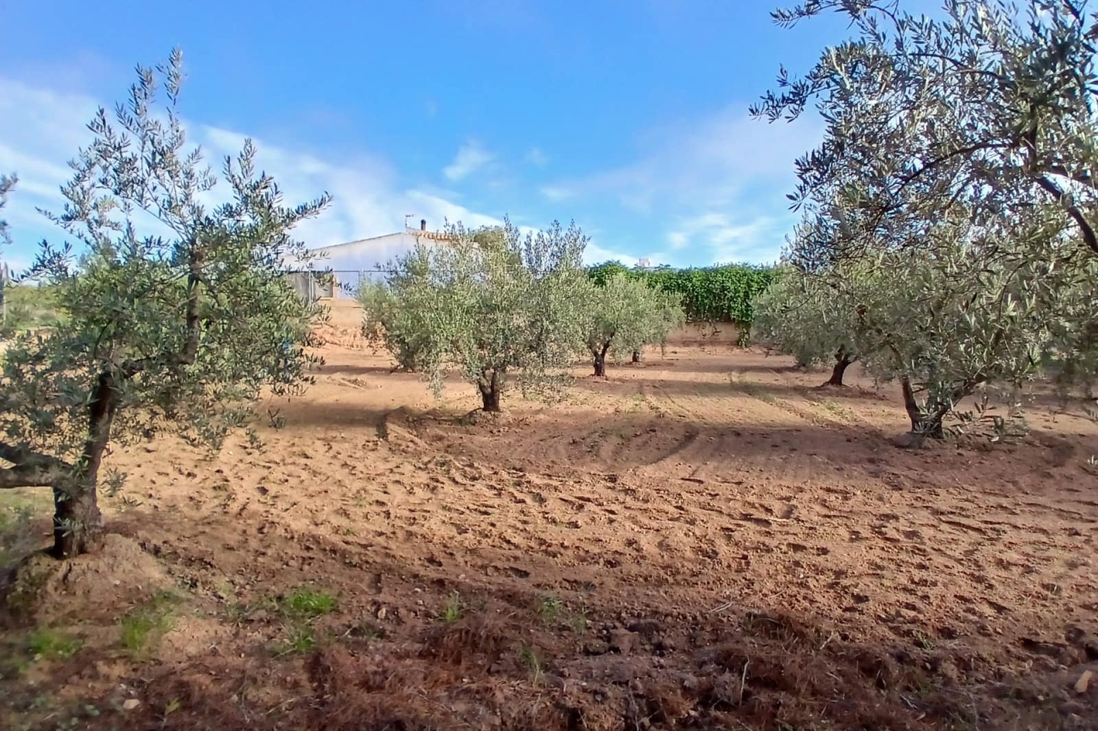 3 bedroom Finca/Country House for sale in Jumilla with garage - € 158,000 (Ref: 9172577)