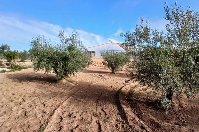 3 sypialnia Finka/Dom wiejski na sprzedaż w Jumilla z garażem - 158 000 € (Ref: 9172577)