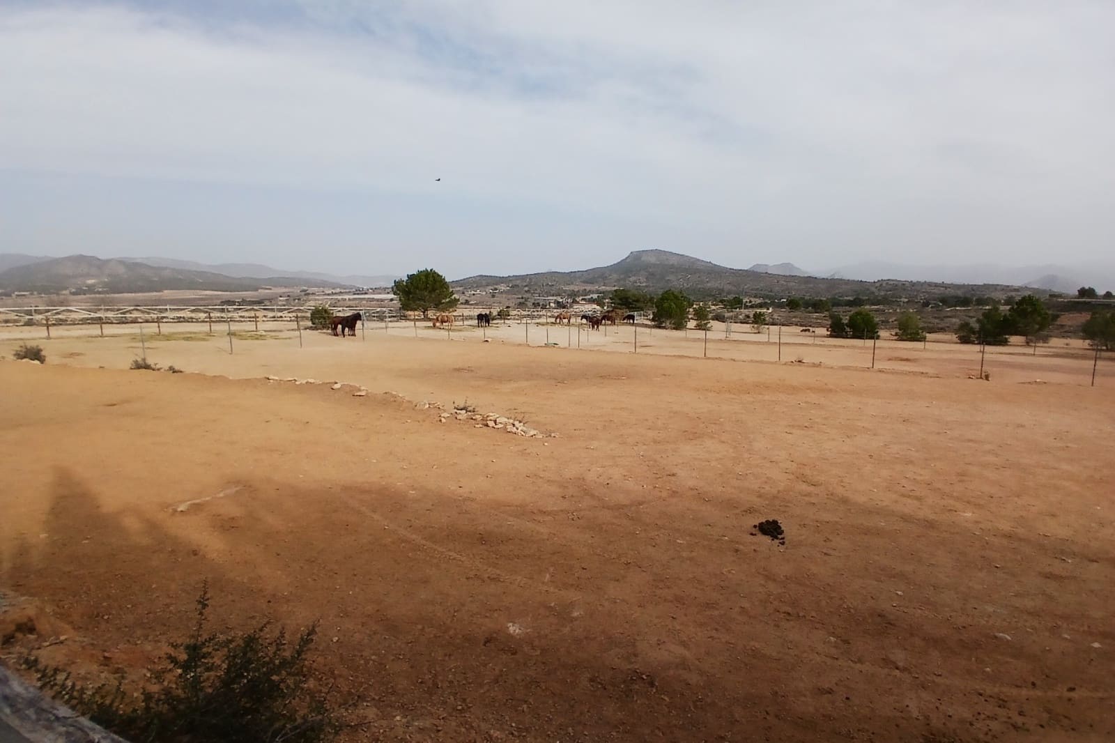 9 soverom Finca/Herregård til salgs i Monovar / Monover med svømmebasseng - € 1 199 995 (Ref: 9172683)