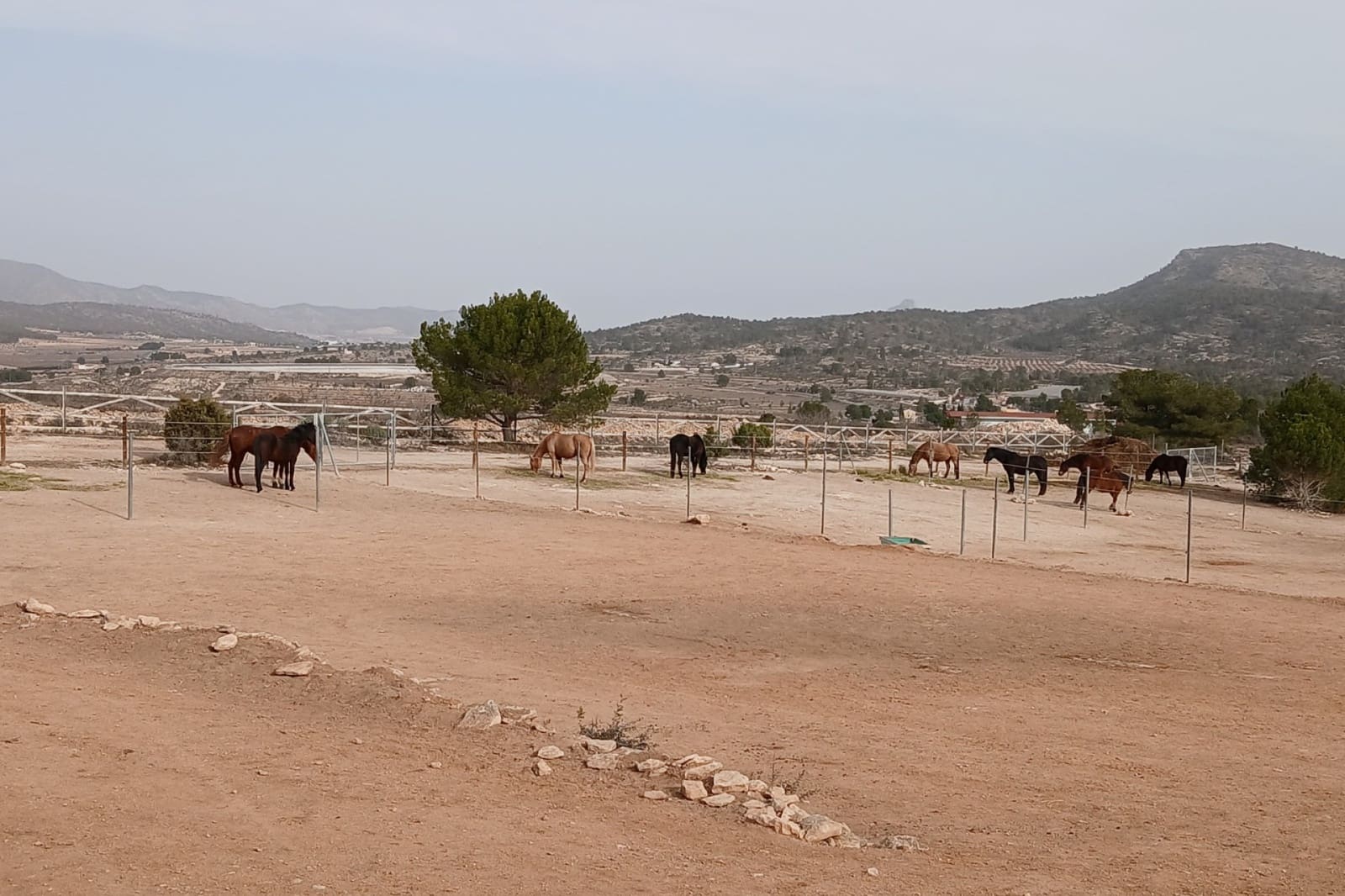 9 soverom Finca/Herregård til salgs i Monovar / Monover med svømmebasseng - € 1 199 995 (Ref: 9172683)