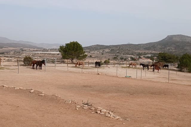9 quarto Quinta/Casa Rural para venda em Monóvar / Monóver com piscina - 1 199 995 € (Ref: 9172683)