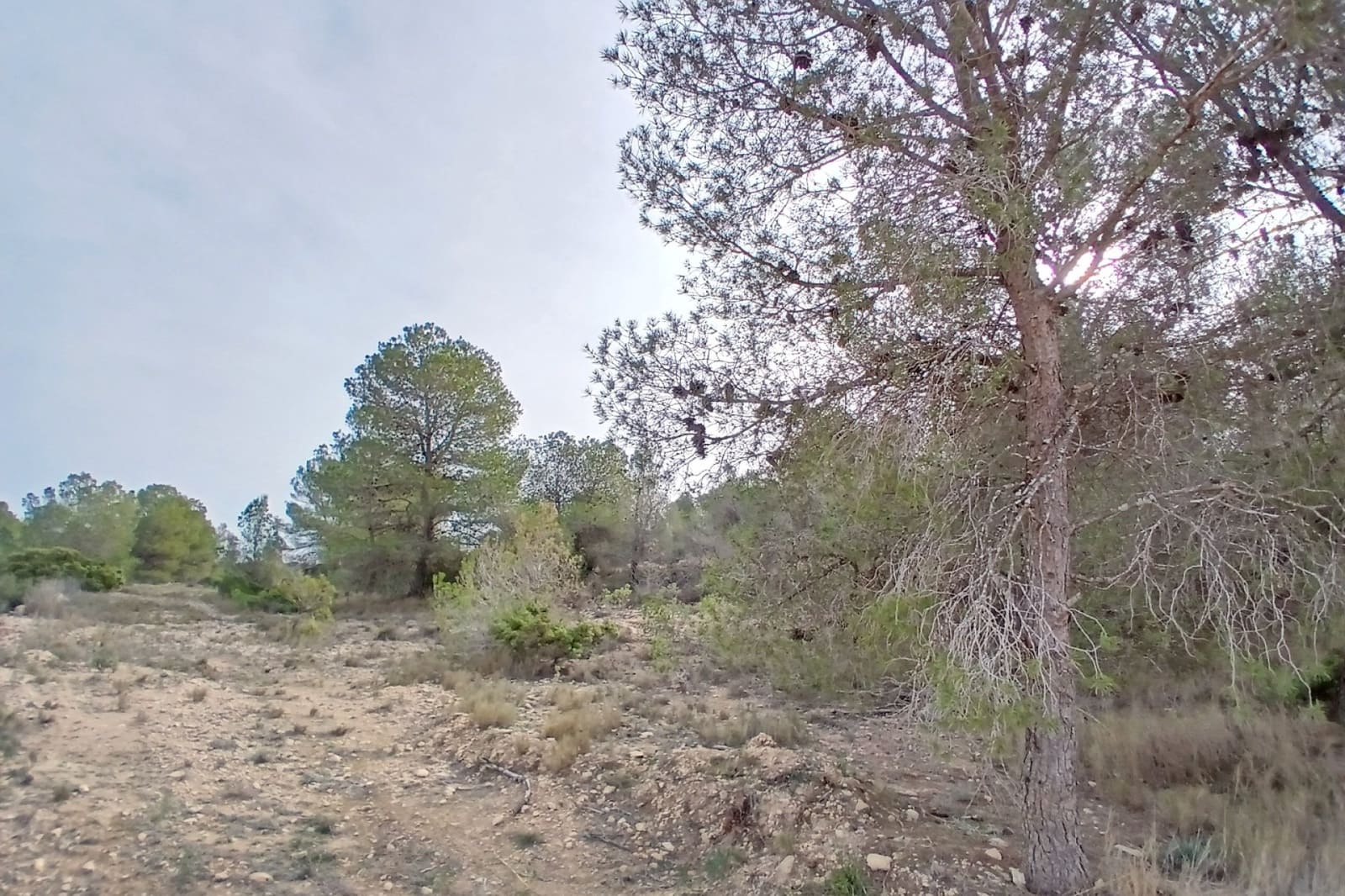 9 soverom Finca/Herregård til salgs i Monovar / Monover med svømmebasseng - € 1 199 995 (Ref: 9172683)