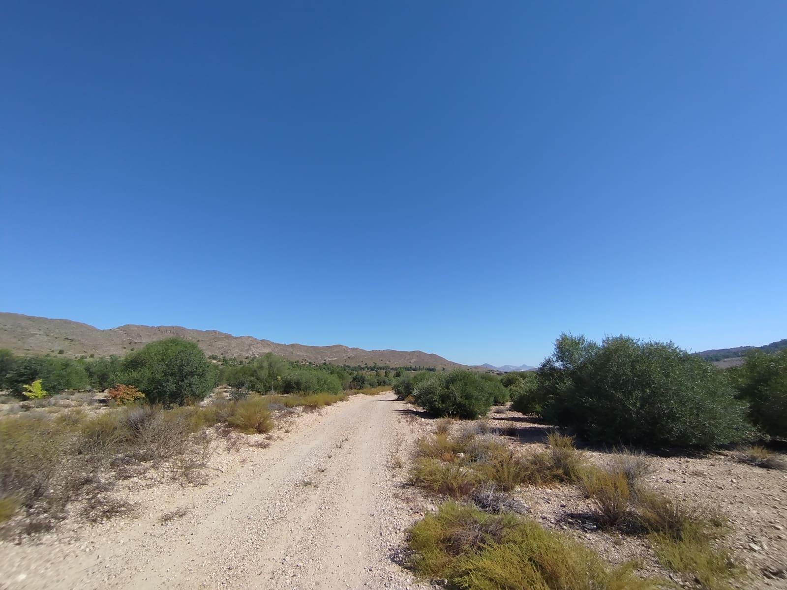 13 sovrum Finca/Hus på landet till salu i Yecla - 675 000 € (Ref: 9289301)