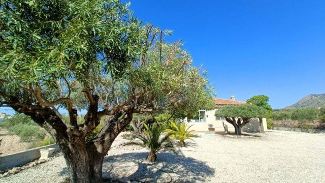 3 slaapkamer Villa te koop in Macisvenda met zwembad garage - € 295.000 (Ref: 9371484)