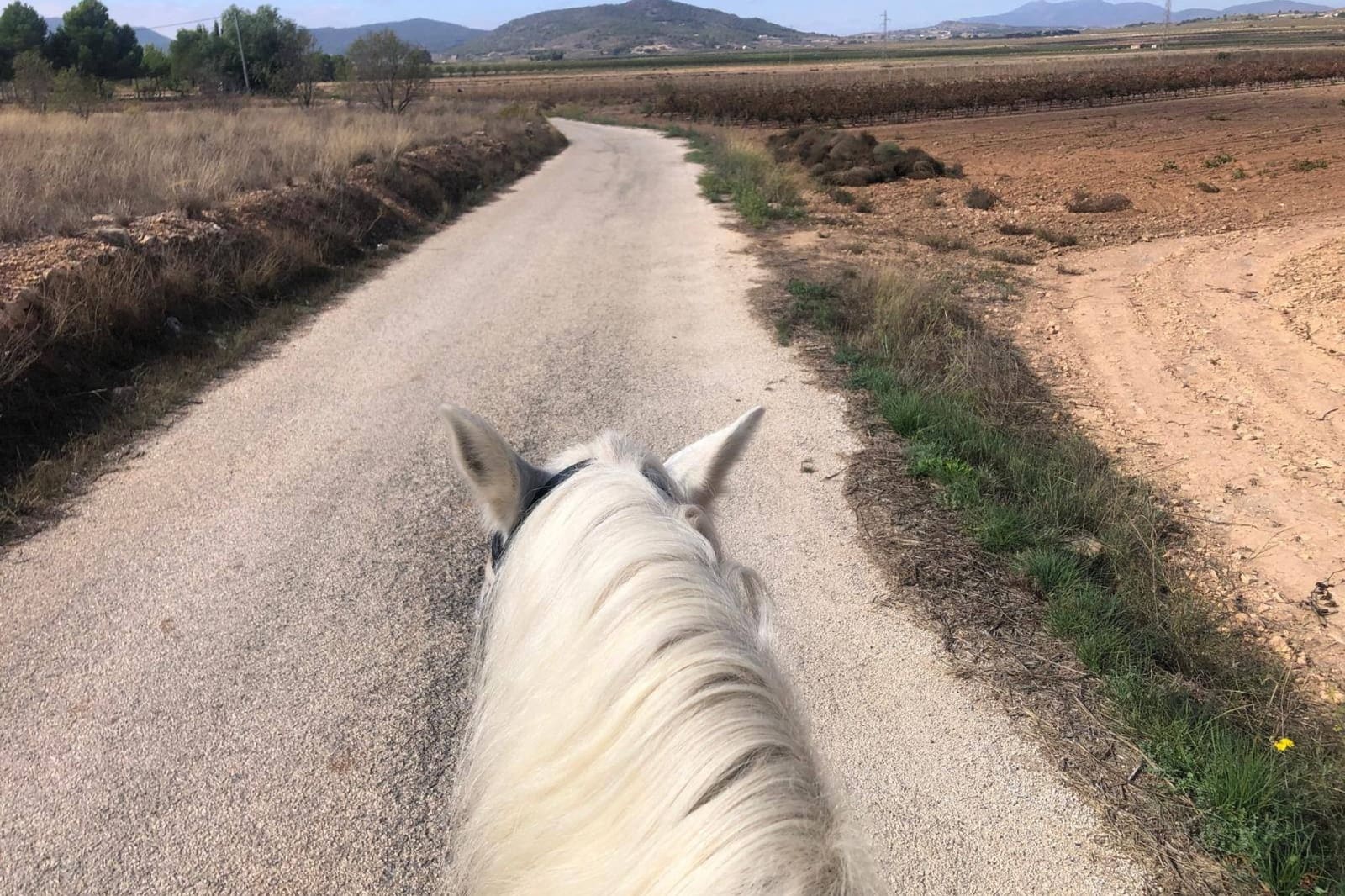 3 soverom Finca/Herregård til salgs i Monovar / Monover med svømmebasseng garasje - € 200 000 (Ref: 9444530)