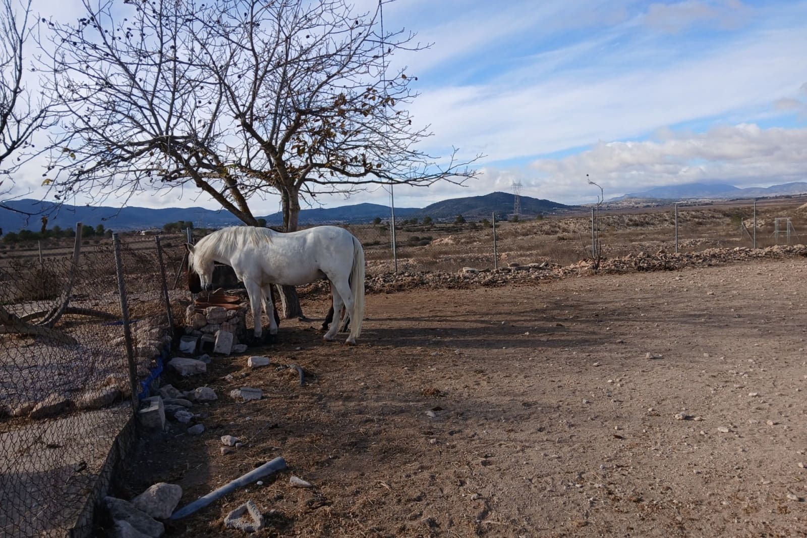 3 soverom Finca/Herregård til salgs i Monovar / Monover med svømmebasseng garasje - € 200 000 (Ref: 9444530)