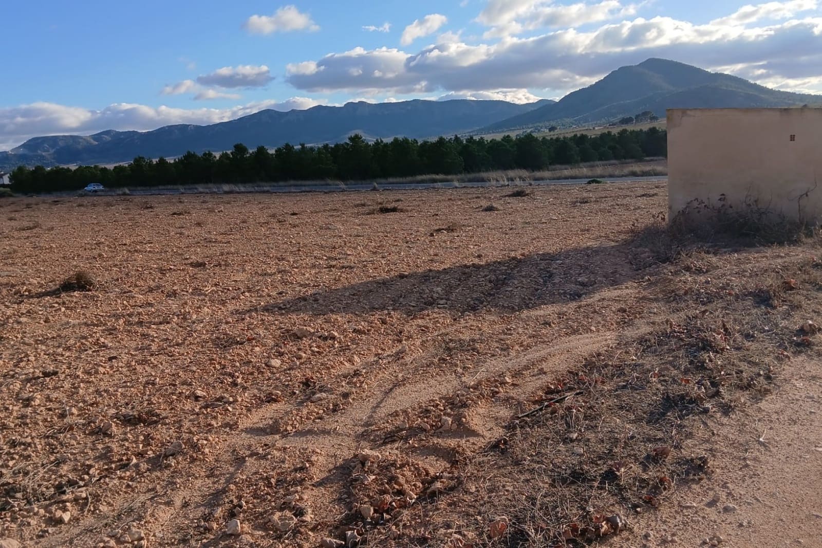 Building Plot for sale in Yecla - € 37,000 (Ref: 9444678)