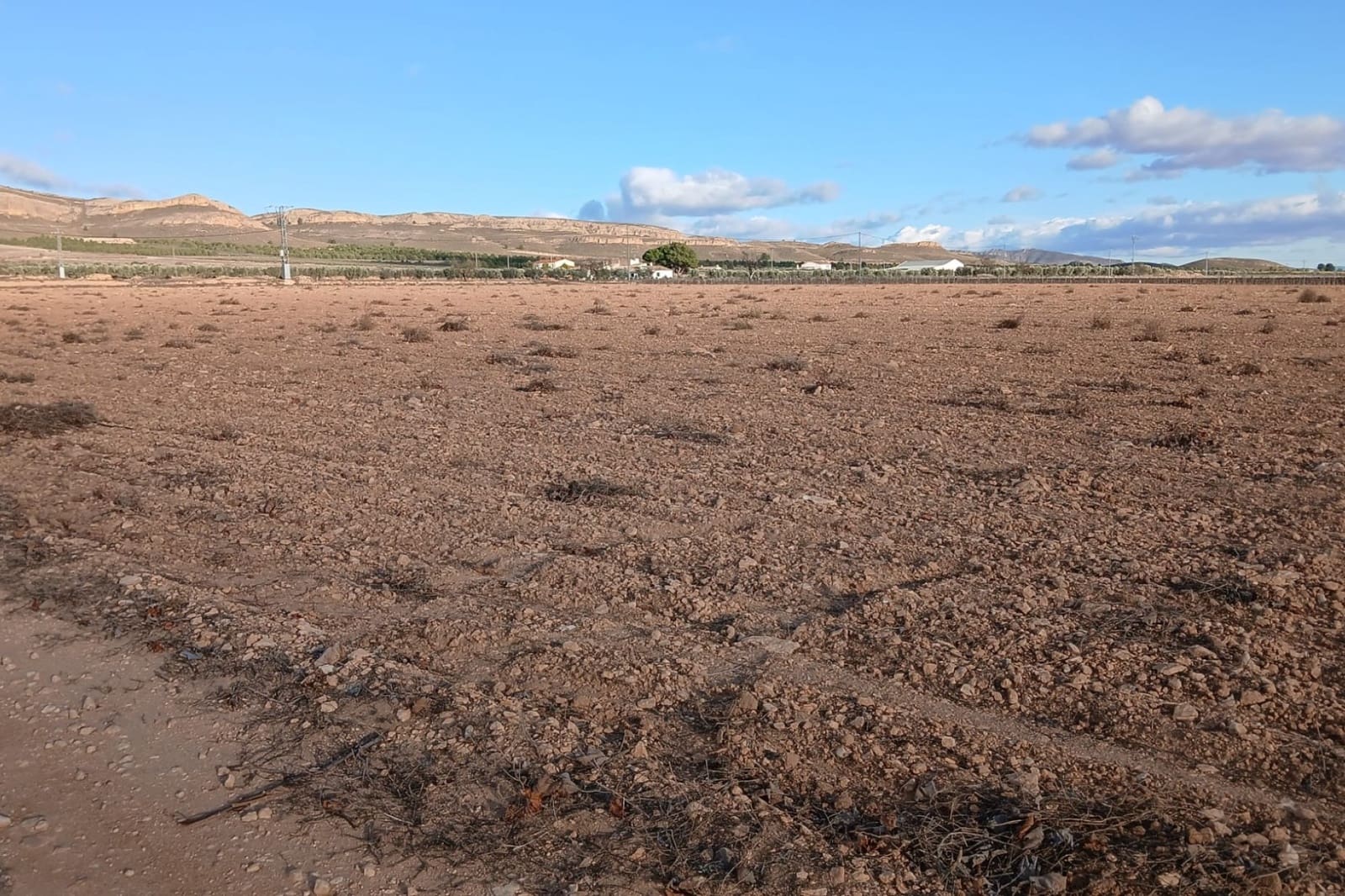 Building Plot for sale in Yecla - € 37,000 (Ref: 9444678)