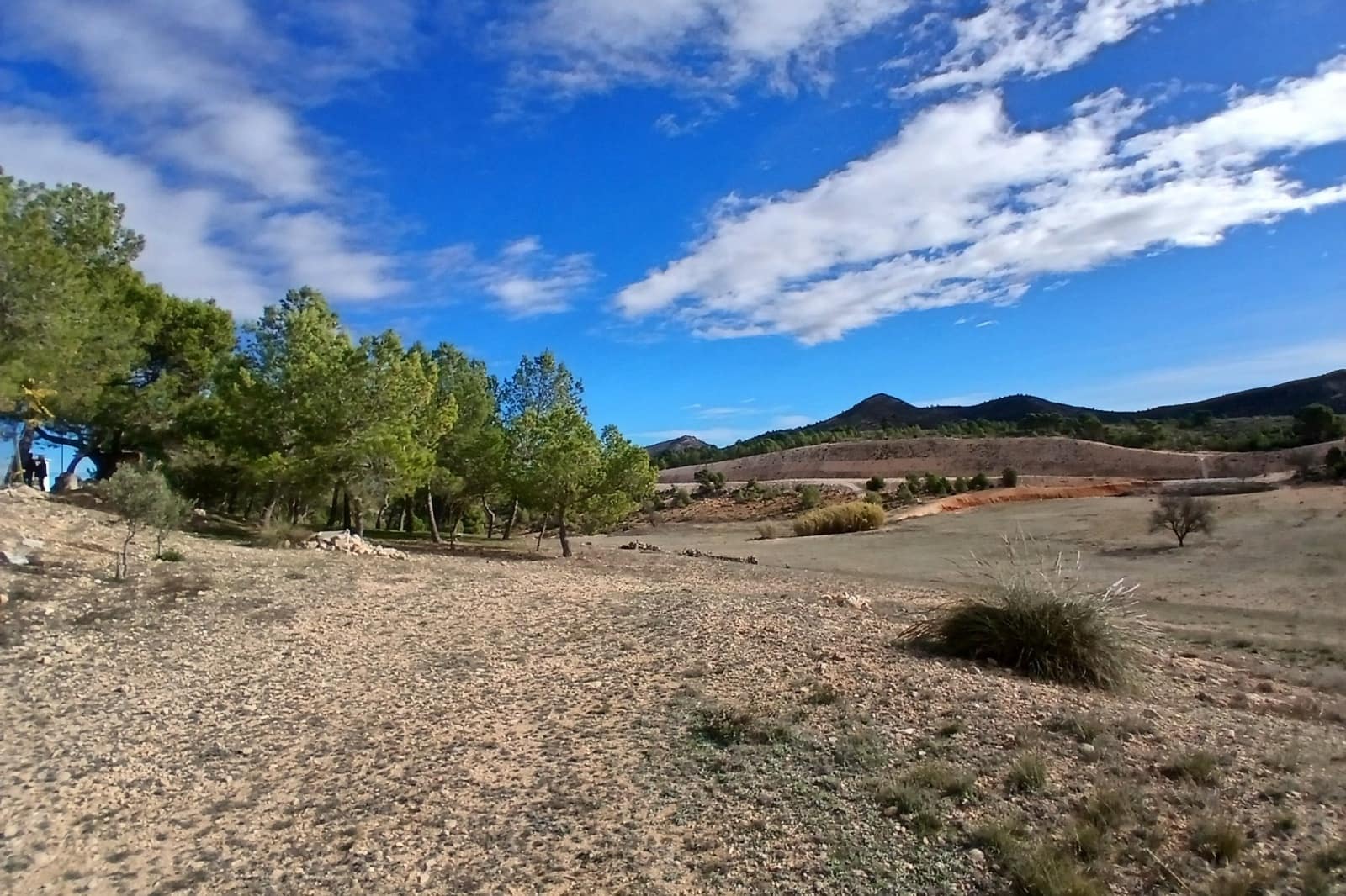 6 bedroom Finca/Country House for sale in Caudete with garage - € 199,000 (Ref: 9487961)