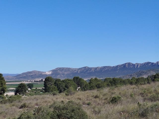 3 bedroom Finca/Country House for sale in Yecla with pool garage - € 199,995 (Ref: 9532314)